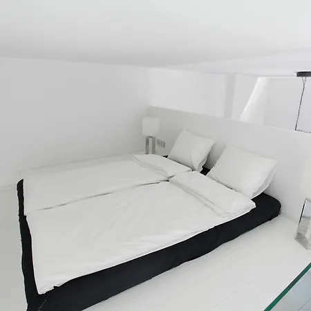 Apartment Mini Loft Design - With Sauna
