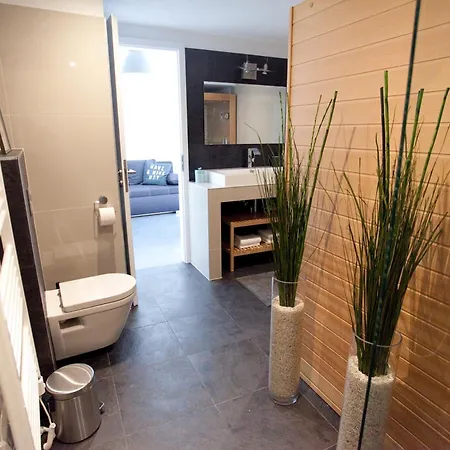 Apartment Mini Loft Design - With Sauna *